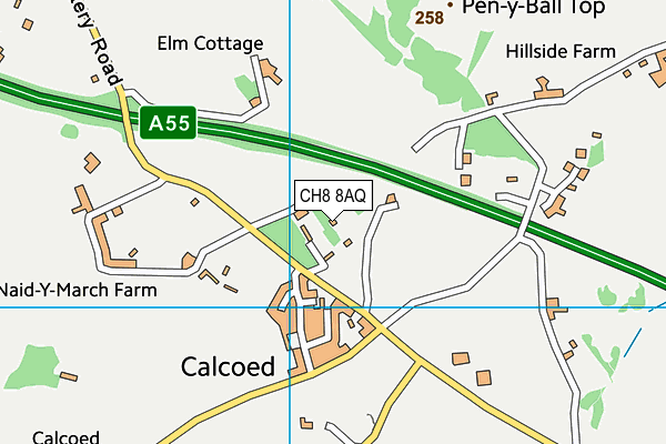 CH8 8AQ map - OS VectorMap District (Ordnance Survey)