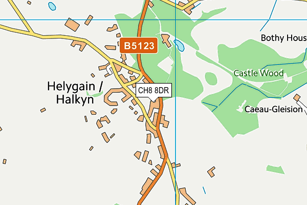 CH8 8DR map - OS VectorMap District (Ordnance Survey)