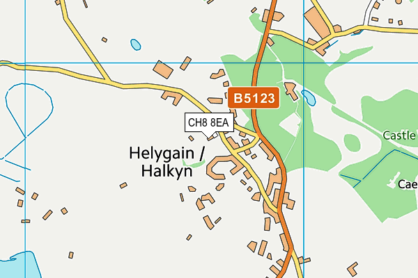 CH8 8EA map - OS VectorMap District (Ordnance Survey)