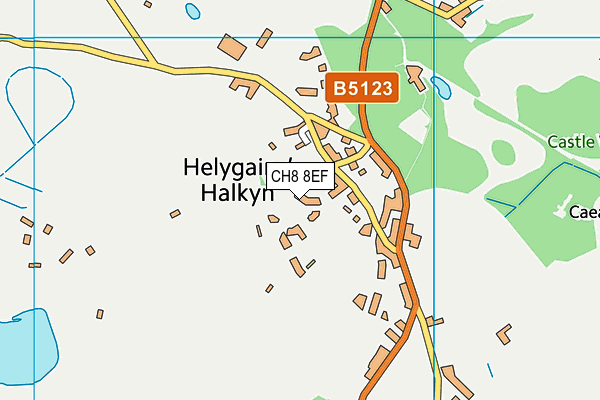 CH8 8EF map - OS VectorMap District (Ordnance Survey)