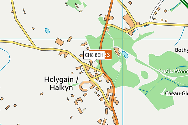 CH8 8EH map - OS VectorMap District (Ordnance Survey)