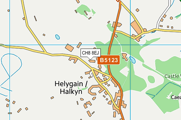 CH8 8EJ map - OS VectorMap District (Ordnance Survey)