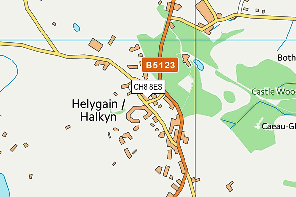 CH8 8ES map - OS VectorMap District (Ordnance Survey)