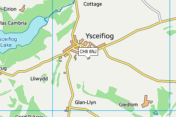 CH8 8NJ map - OS VectorMap District (Ordnance Survey)