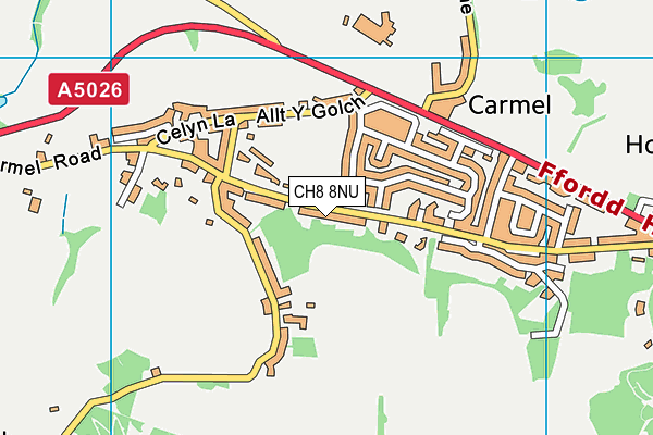 Ysgol Bro Carmel map (CH8 8NU) - OS VectorMap District (Ordnance Survey)
