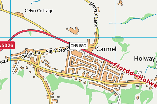 CH8 8SQ map - OS VectorMap District (Ordnance Survey)