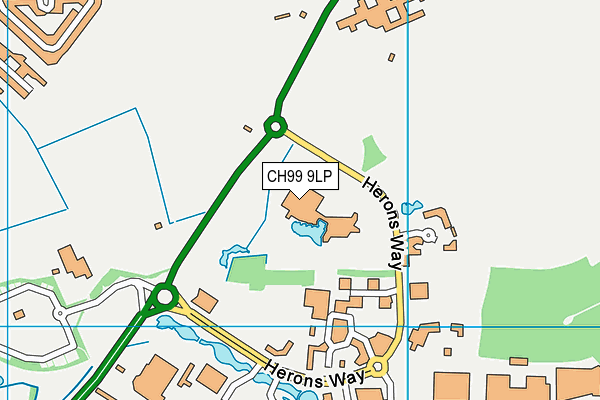 CH99 9LP map - OS VectorMap District (Ordnance Survey)