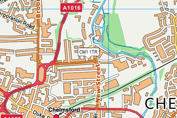 CM1 1TR map - OS VectorMap District (Ordnance Survey)