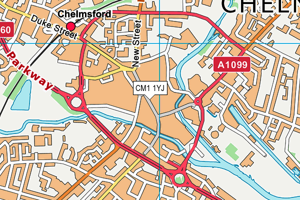 CM1 1YJ map - OS VectorMap District (Ordnance Survey)