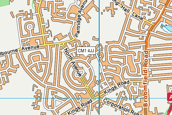 CM1 4JJ map - OS VectorMap District (Ordnance Survey)