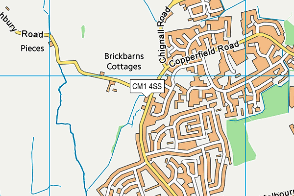 CM1 4SS map - OS VectorMap District (Ordnance Survey)