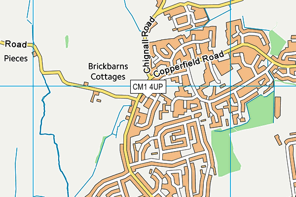 CM1 4UP map - OS VectorMap District (Ordnance Survey)