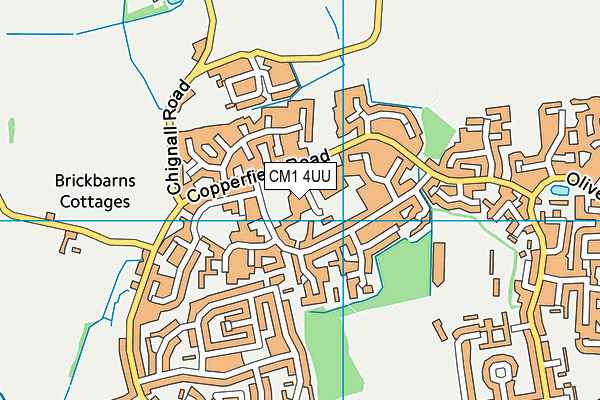 Newlands Spring Primary School map (CM1 4UU) - OS VectorMap District (Ordnance Survey)