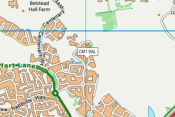 CM1 6AL map - OS VectorMap District (Ordnance Survey)