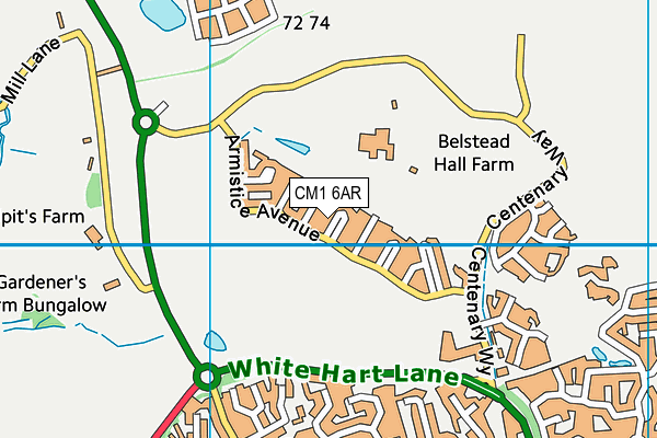 CM1 6AR map - OS VectorMap District (Ordnance Survey)