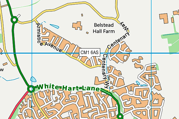 CM1 6AS map - OS VectorMap District (Ordnance Survey)