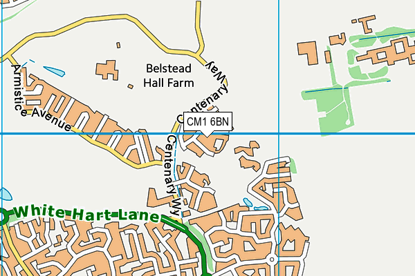 CM1 6BN map - OS VectorMap District (Ordnance Survey)