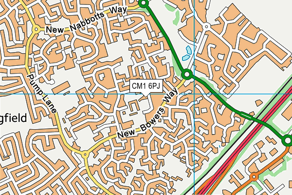 CM1 6PJ map - OS VectorMap District (Ordnance Survey)