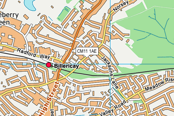 CM11 1AE map - OS VectorMap District (Ordnance Survey)