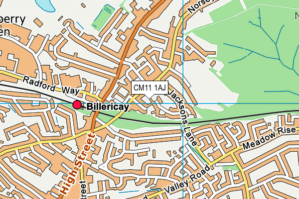 CM11 1AJ map - OS VectorMap District (Ordnance Survey)