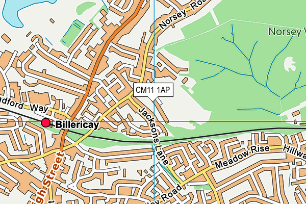 CM11 1AP map - OS VectorMap District (Ordnance Survey)