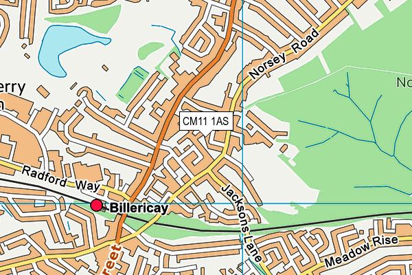 CM11 1AS map - OS VectorMap District (Ordnance Survey)