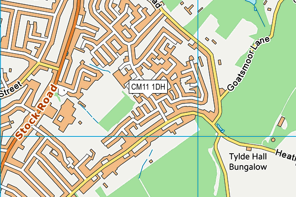 CM11 1DH map - OS VectorMap District (Ordnance Survey)