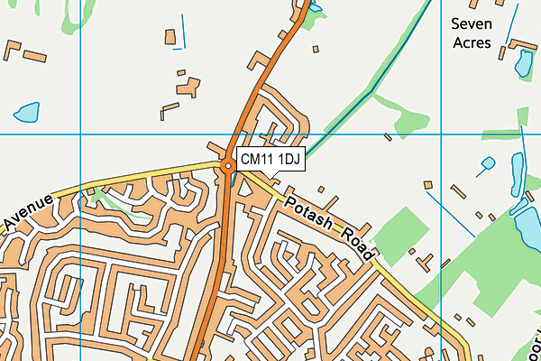 CM11 1DJ map - OS VectorMap District (Ordnance Survey)