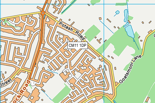 CM11 1DP map - OS VectorMap District (Ordnance Survey)