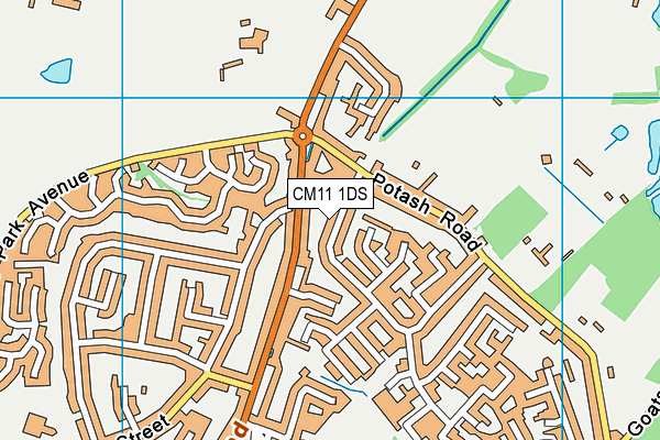 CM11 1DS map - OS VectorMap District (Ordnance Survey)