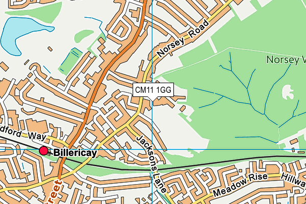 CM11 1GG map - OS VectorMap District (Ordnance Survey)