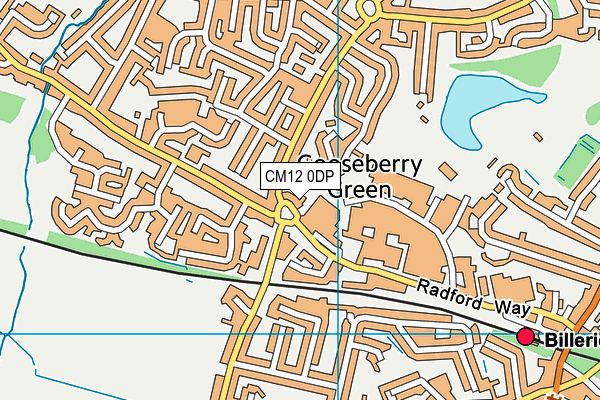 CM12 0DP map - OS VectorMap District (Ordnance Survey)