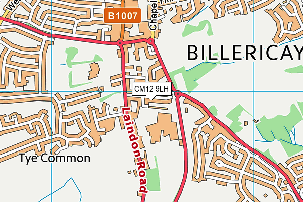 Billericay School (Billericay Sports Centre) map (CM12 9LH) - OS VectorMap District (Ordnance Survey)