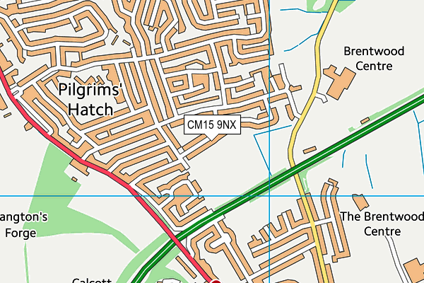 CM15 9NX map - OS VectorMap District (Ordnance Survey)