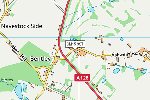 CM15 9ST map - OS VectorMap District (Ordnance Survey)