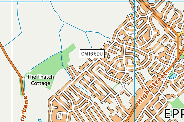 Epping Primary School map (CM16 5DU) - OS VectorMap District (Ordnance Survey)