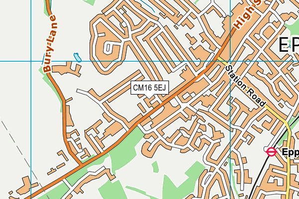 CM16 5EJ map - OS VectorMap District (Ordnance Survey)