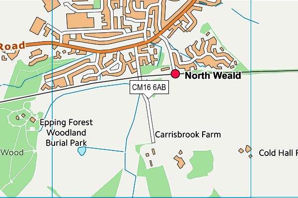 CM16 6AB map - OS VectorMap District (Ordnance Survey)