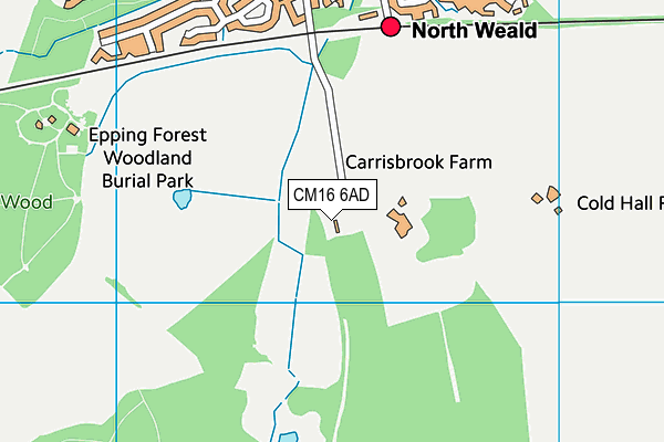 CM16 6AD map - OS VectorMap District (Ordnance Survey)