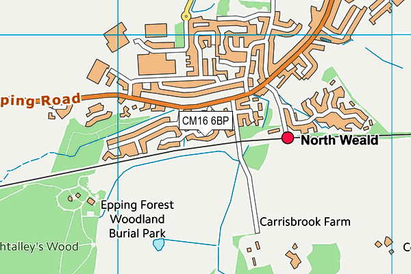 CM16 6BP map - OS VectorMap District (Ordnance Survey)