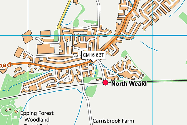 CM16 6BT map - OS VectorMap District (Ordnance Survey)