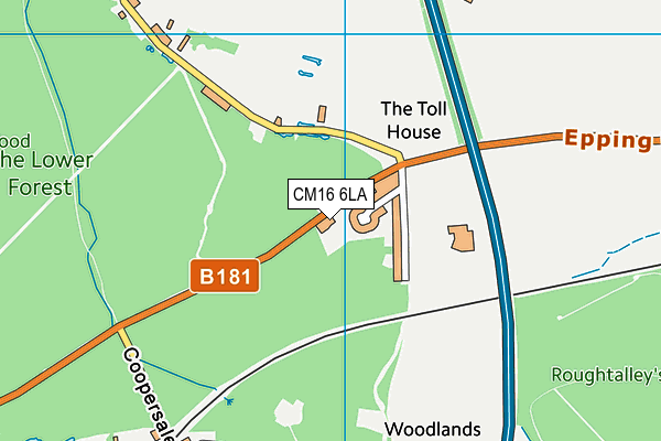 CM16 6LA map - OS VectorMap District (Ordnance Survey)