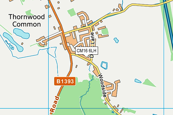 CM16 6LH map - OS VectorMap District (Ordnance Survey)