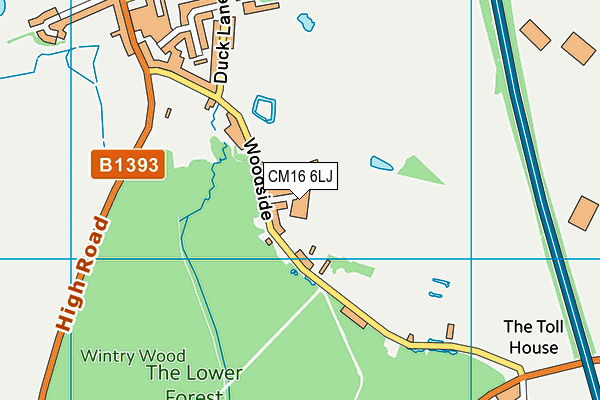 CM16 6LJ map - OS VectorMap District (Ordnance Survey)