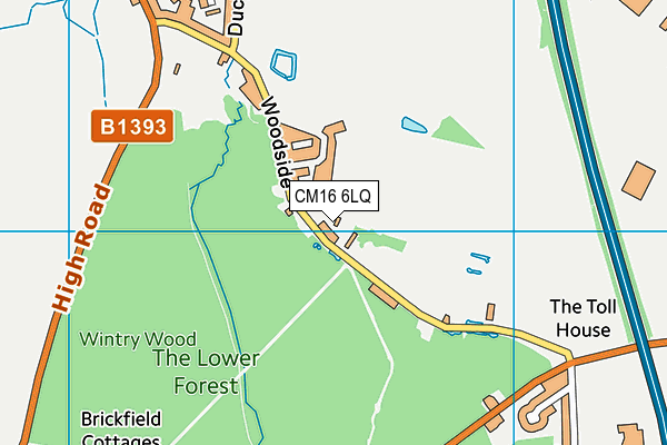 CM16 6LQ map - OS VectorMap District (Ordnance Survey)