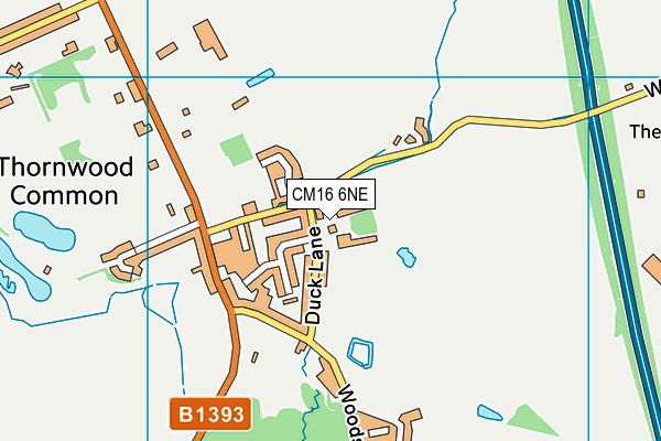 CM16 6NE map - OS VectorMap District (Ordnance Survey)