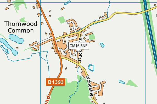 CM16 6NF map - OS VectorMap District (Ordnance Survey)