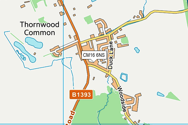 CM16 6NS map - OS VectorMap District (Ordnance Survey)