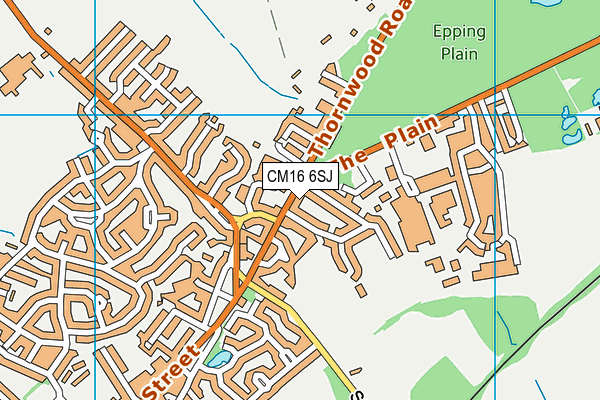CM16 6SJ map - OS VectorMap District (Ordnance Survey)
