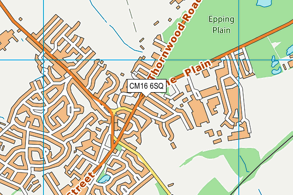 CM16 6SQ map - OS VectorMap District (Ordnance Survey)